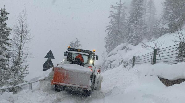 maior neve italia