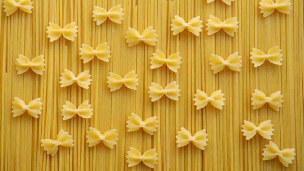 novo tipo de pasta