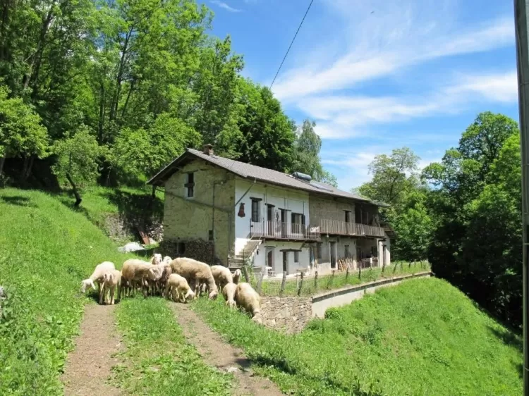 Coumboscuro: a cidade da Itália onde não se fala italiano
