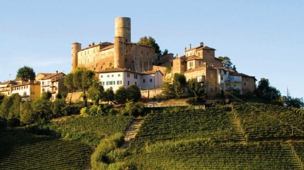 soave