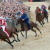 palio de siena