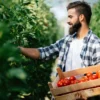 Projeto ‘Meu Tomatì será apresentado durante o evento.