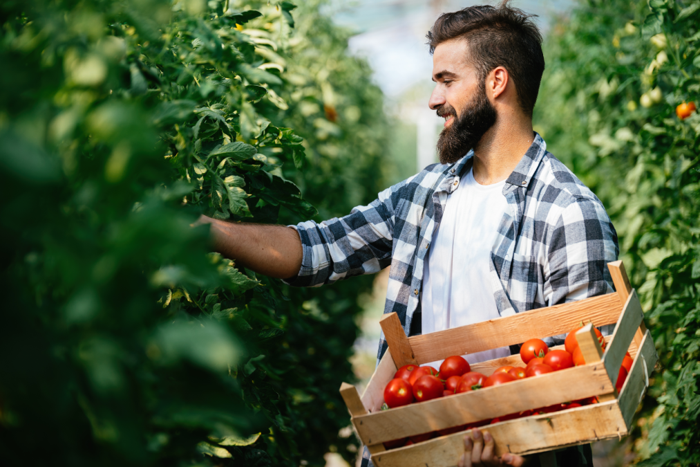 Projeto ‘Meu Tomatì será apresentado durante o evento.