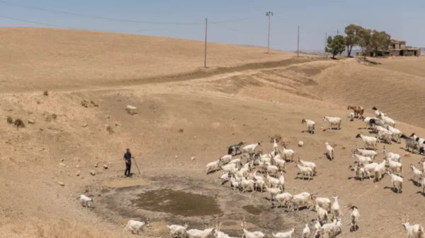 Sicilianos protestam agua